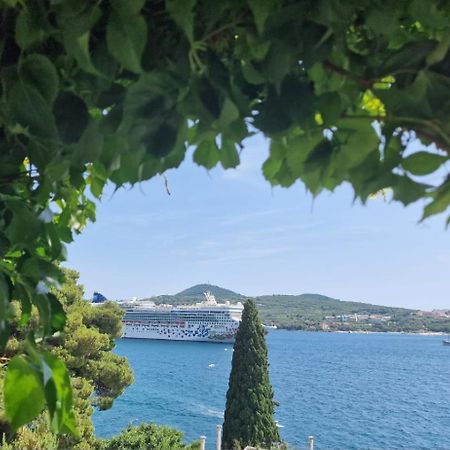 Apartment Ana Lozica With Terrace Dubrovnik Eksteriør billede